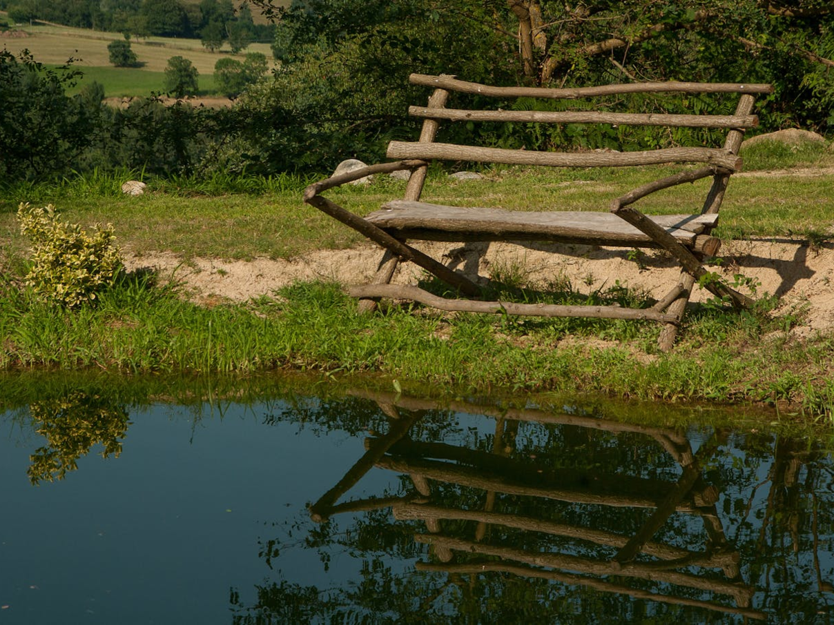 Hoe beveilig je jouw tuinparadijs met een zwemvijver?