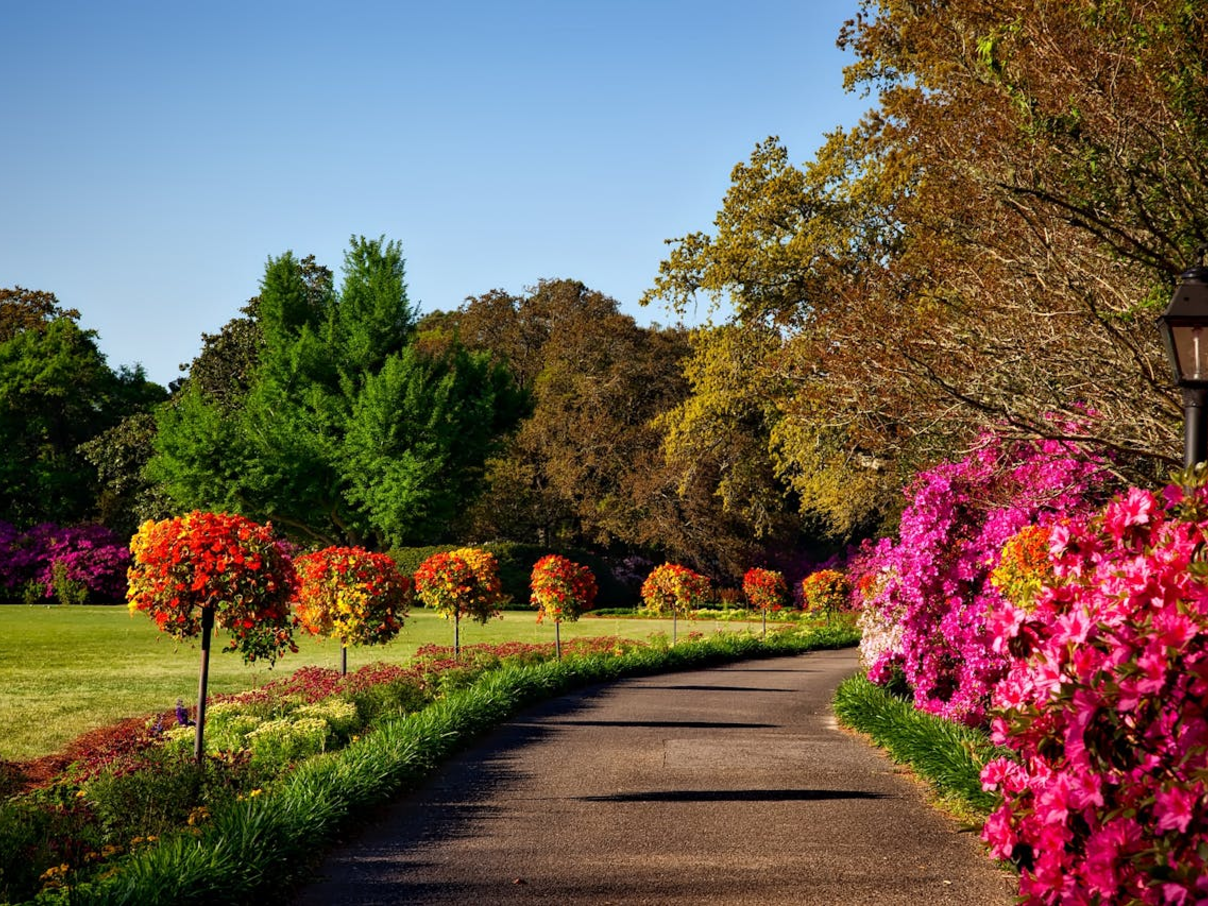 De ongeschreven regels van tuinplezier