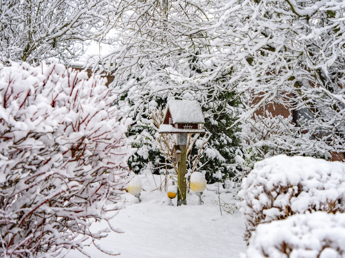 Zo houd je je tuin het hele jaar mooi
