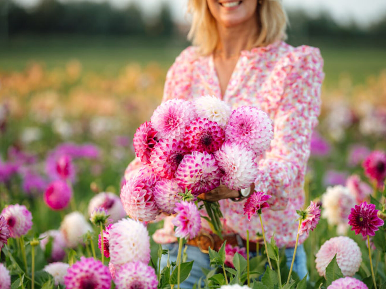 Dahlia’s planten
