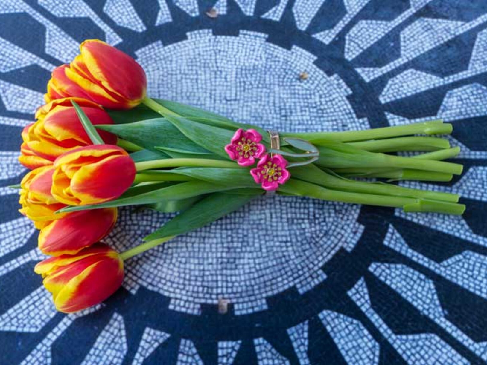 Tulpen